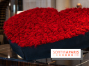Saint-Valentin visuel saint Valentin