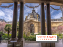 Petit Palais - Collection permanente  -  jardin - restaurant - terrasse