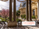 Petit Palais - Collection permanente  -  jardin
