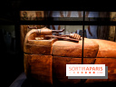 Ramsès et l’or des pharaons, nos photos de l'expo