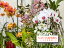 Esprit Jardin à Versailles - Marché aux plantes et animations
