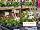 Esprit Jardin à Versailles - Marché aux plantes et animations