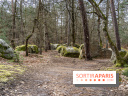 Barbizon, le village entre art et nature