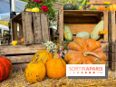Automne au Potager du Roi - Citrouilles - Halloween