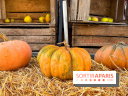 Automne au Potager du Roi - Citrouilles - Halloween