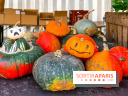 Automne au Potager du Roi - Citrouilles - Halloween