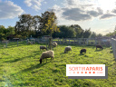 La ferme pédagogique du parc des Chanteraines