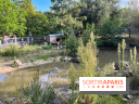 La ferme pédagogique du parc des Chanteraines