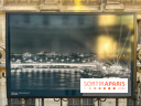 Exposition Paris s'illumine