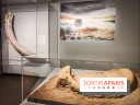 Dans la Seine : une expo de la Crypte archéologique dévoile les objets retrouvés dans la Seine