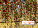 Tea Time de Saint-Valentin du Four Seasons George V Paris 2024