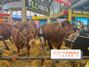 Salon de l'agriculture 2024
