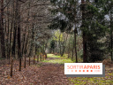 Arbor&Sens, l'Arboretum de Franchard en forêt de Fontainebleau - les photos