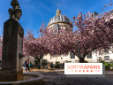 Square Gabriel Pierné à Paris - cerisiers en fleurs