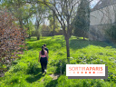 Dourdan - nos photos de la ville