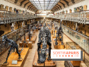 La Galerie de Paléontologie et d'Anatomie comparée du Muséum au Jardin des Plantes