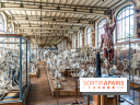 La Galerie de Paléontologie et d'Anatomie comparée du Muséum au Jardin des Plantes -  A7C7488