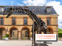Un dinosaure géant au Château de Dampierre - Jurassique au Château de Dampierre -  A7C8901