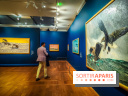 Bruno Liljefors, la Suède sauvage : l'exposition poétique se dévoile en images au Petit Palais