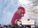 Défilé du Nouvel an Lunaire - Chinois 2025 Paris 13e - les photos