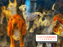 Collection dédié aux chiens