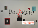 Polaraki, mille polaroids d'Araki Nobuyoshi : l'exposition du musée Guimet se dévoile - fotor 1759249478933