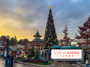 Noël à Disneyland Paris : Disney's Enchanted Christmas - sapin