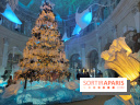Le Grand Noël 2025 du château de Vaux-le-Vicomte : des décorations magiques pour une balade hivernale mémorable