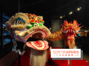 Dragons : l'exposition entre art et légendes se dévoile au musée du Quai Branly