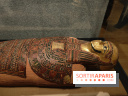 Momies : une exposition insolite et troublante à découvrir au musée de l'Homme