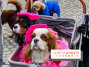 La Marche des animaux à Paris : défilé gratuit, ouvert aux chiens, chats ... sur les Champs-Élysées