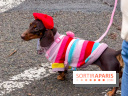 Paris Sausage Walk, la Marche des Teckels 2025
