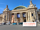 Insolite : assistez au montage en live d'une maquette LEGO du Grand Palais