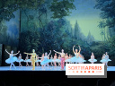 La Bayadère de Noureev à l'Opéra Bastille