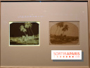 Voir Tahiti : une exposition qui dévoile les premières photos du XIXe siècle au musée du Quai Branly
