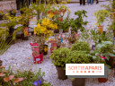Jardins en fête à Auvers 91