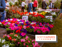 Fête des plantes de Méry