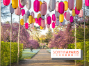 Hanami au Parc de Sceaux 2022, la fête des cerisiers en fleurs