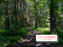 Nuit des forêts Rambouillet 2023