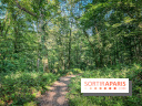 Les Nuits des Forêts 2023 dans le Val-d'Oise (95) : Le programme