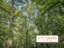 Les Nuits des Forêts 2023 en Seine-Saint-Denis (93) : Le programme