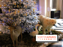Noël au Trianon palace avec Deyrolle