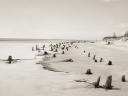 Corps littoral : l'exposition de Camille Guichard à la galerie Rachel Hardouin