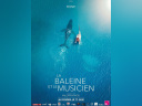 La Baleine et le musicien : Rone dialogue avec les cétacés au cinéma