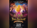 La Belle au bois dormant, le musical à la Gaîté Rive Gauche