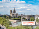 Parvis de Notre-Dame : les quatre projets de réaménagement dévoilés par la Mairie de Paris