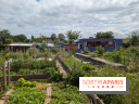 Terre Terre, la ferme-guinguette qui pousse au bord du canal à Aubervilliers (93)