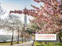 Visuel Paris Tour Eiffel cerisiers en fleurs