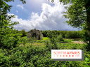 Visuel Paris balade forêt île de france