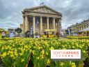 Une Jonquille pour Curie au Panthéon
